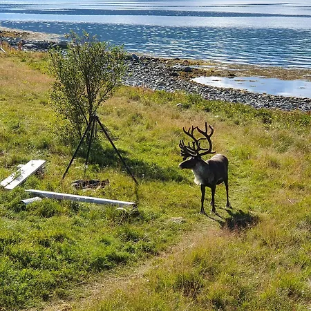 Seaside Near בית נופש Hansnes