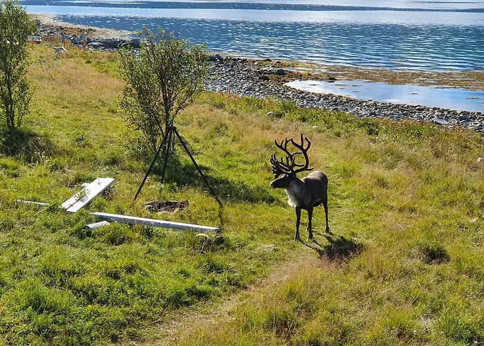 Seaside Near בית נופש Hansnes
