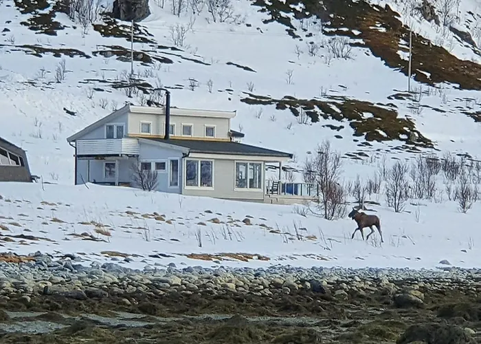 Seaside Near בית נופש Hansnes